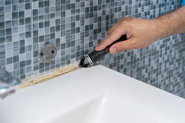 Best Mold Testing  in Mexico Beach, FL