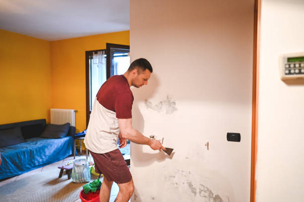 Best Commercial Mold Removal  in Mexico Beach, FL